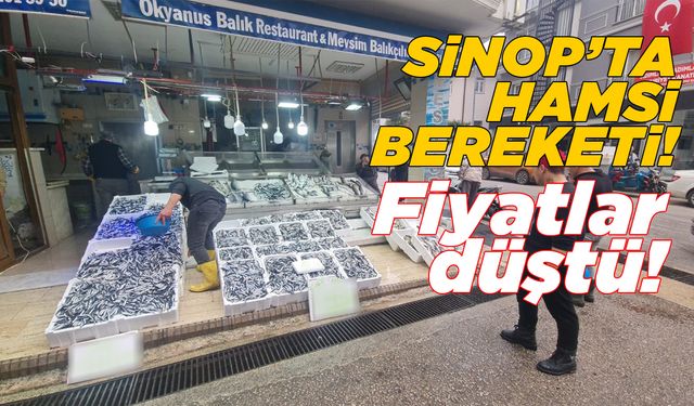 Hamsi bolluğu fiyatları düşürdü