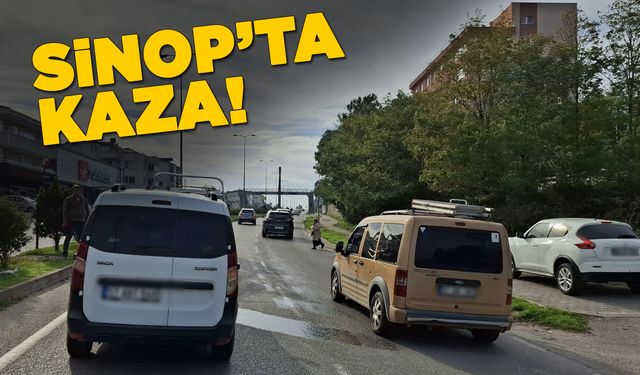 Sinop'ta yola atlayan köpek kazaya neden oldu
