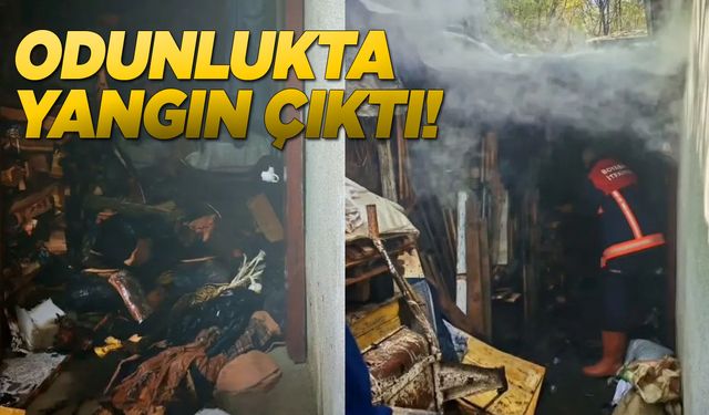 Odun deposunda yangın çıktı
