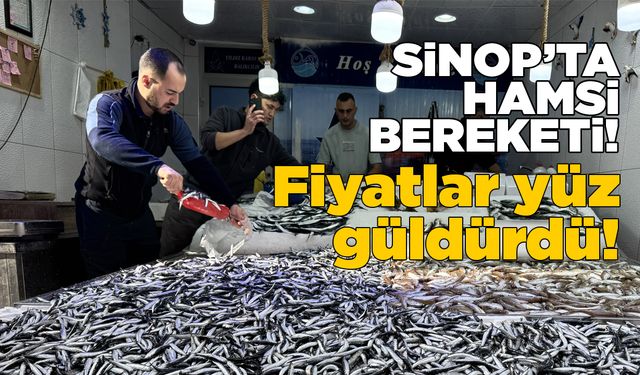 Sinop'ta hamsi fiyatları yüz güldürüyor