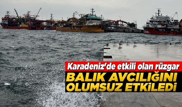 Sinop'ta balıkçılar denize açılamadı