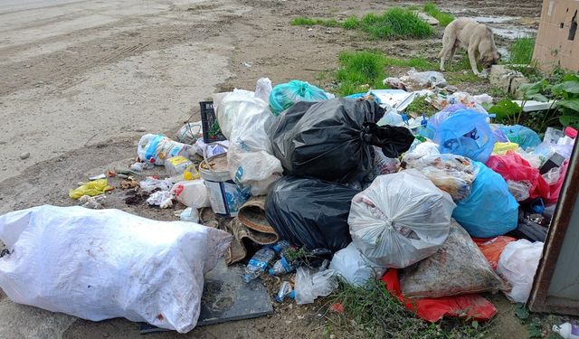 İlçe merkezindeki çöp sorunu çözüm bekliyor
