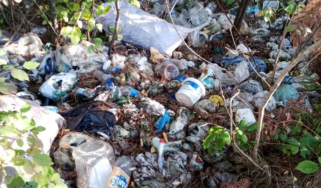 Sinop-Ayancık yolunda çevre kirliliği tepkisi