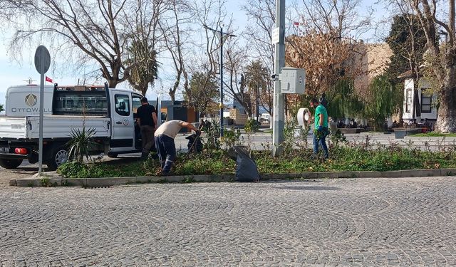 Sinop’ta yeşil alanlarda temizlik çalışması