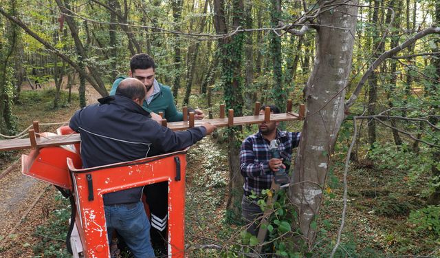 Bu köprü sincaplar için