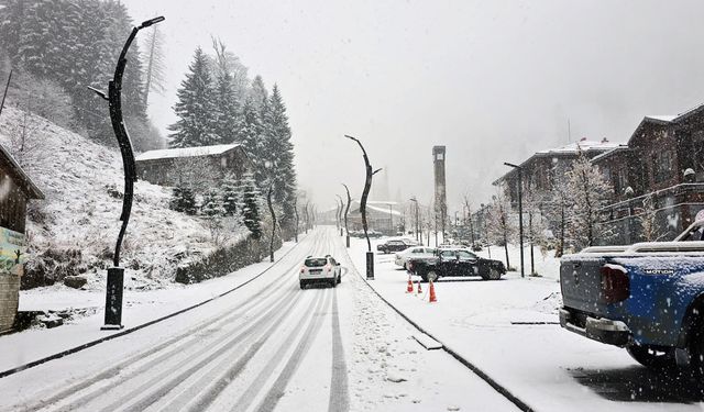 Rize ve Artvin'in yüksek kesimlerinde kar etkili oldu