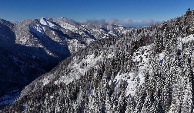 Rize'nin yüksek kesimlerinde kara teslim