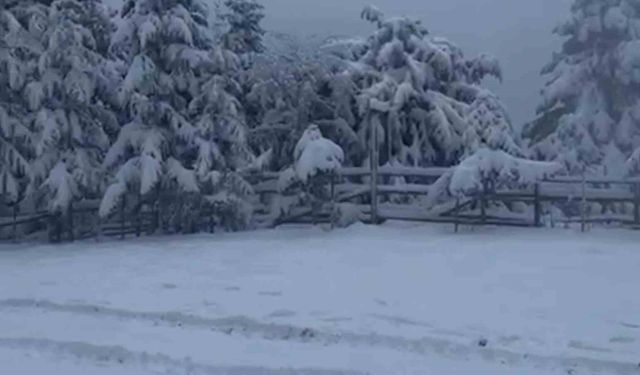 Bolu'da kış turizmi yapay karla destekleniyor