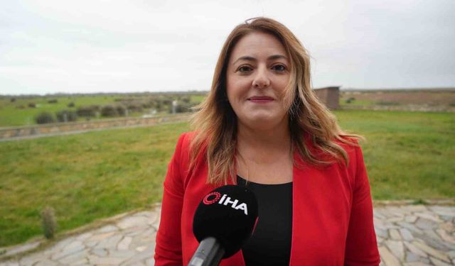 Manda popülasyonu tehdit altında