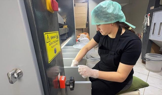 Giresunlu kadın girişimci devlet desteğiyle tesis kurdu