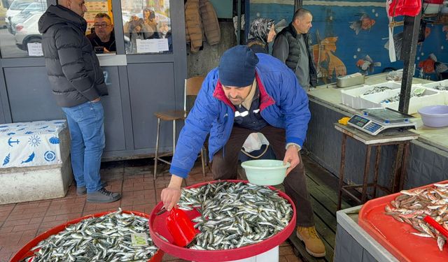 Olumsuz hava koşulları balık fiyatlarını artırdı