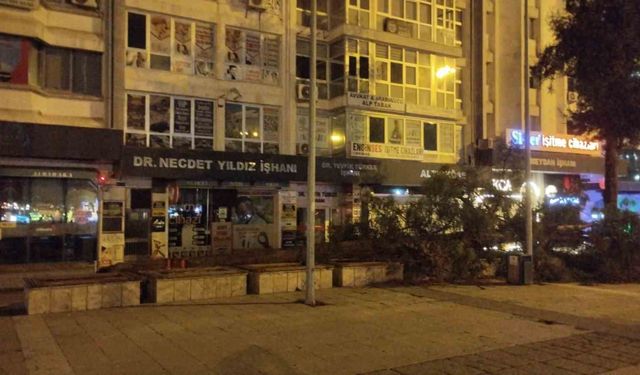 Fırtına ağaç devirdi