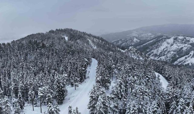 Kastamonu ormanları kış güzelliğiyle dikkat çekti