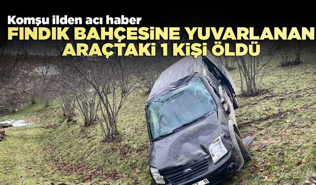 Hafif ticari araç bahçeye yuvarlandı: 1 ölü, 2 yaralı