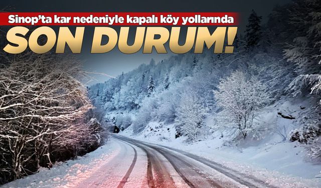 Sinop'ta birçok köy yolu kapalı