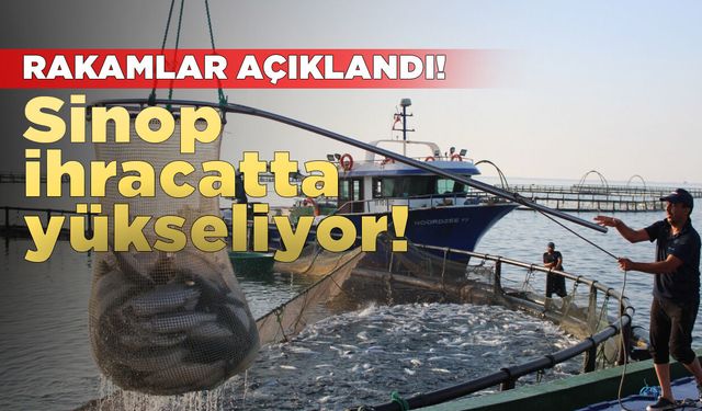 Sinop'un su ürünleri ihracatı 2025'te ivme kazandı