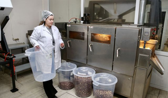 Fındık işleme tesisi için devlet desteği alarak şirket kurdu
