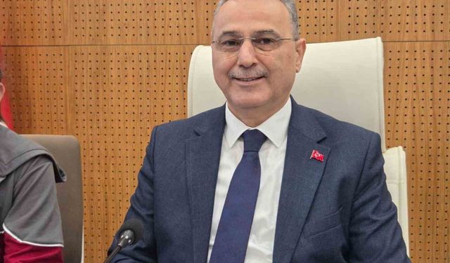 Konteynerde bulunan 9 ölü köpek bulundu