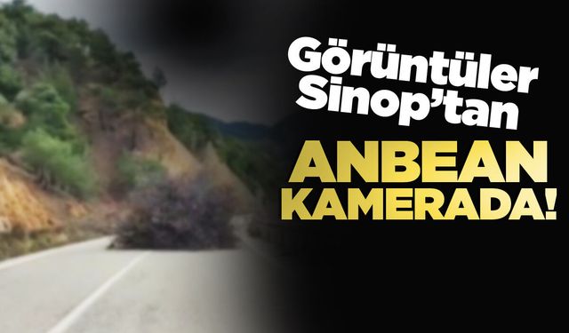 Sinop’ta tehlikeli taşımacılık kamerada!