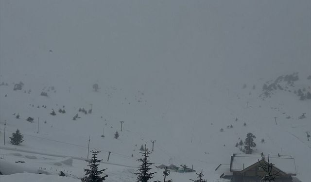 Bolu'nun yüksek kesimlerinde kar yağışı etkili oldu