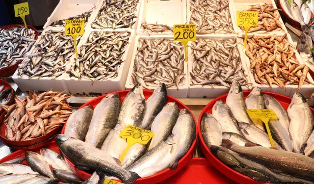 Ramazan ayında balığa talep arttı