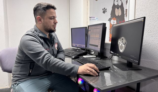 Sahipsiz köpek kanser tedavisiyle sağlığına kavuştu