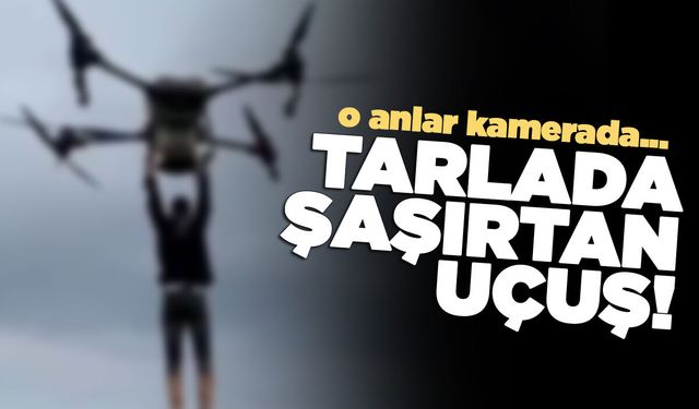 Çeltik tarlasında tehlikeli yolculuk
