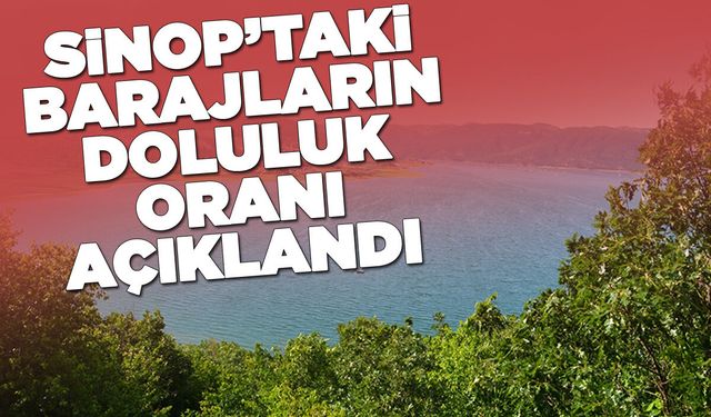 Barajların doluluk oranı yağışlarla yükselişe geçti