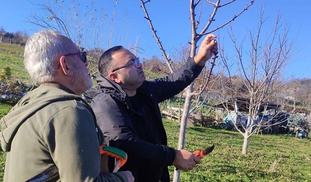 Sinop’ta meyve üreticilerine uygulamalı eğitim