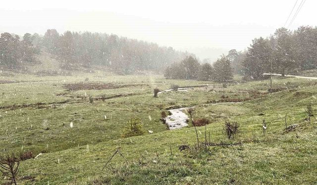Bolu'da nisan ayında kar sürprizi