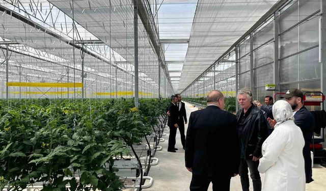 Düzce Seracılık İhtisas Organize Tarım Bölgesi'nde denetim
