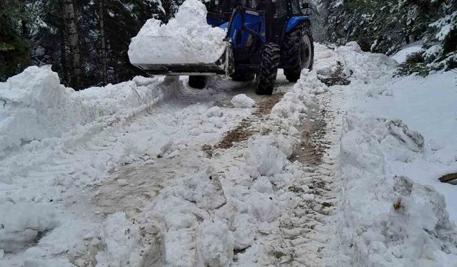 Kadan kapanan yayla yolunu köylüler açtı