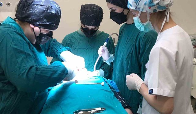 Özel bireylerin diş problemlerine etkili çözüm