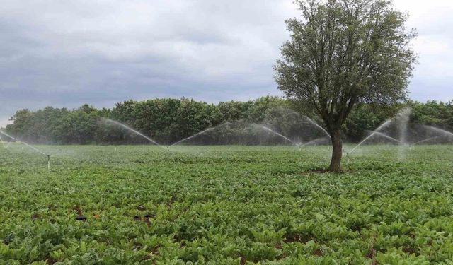 Samsun'da tarım, hayvancılık ve kırsal kalkınmaya destek