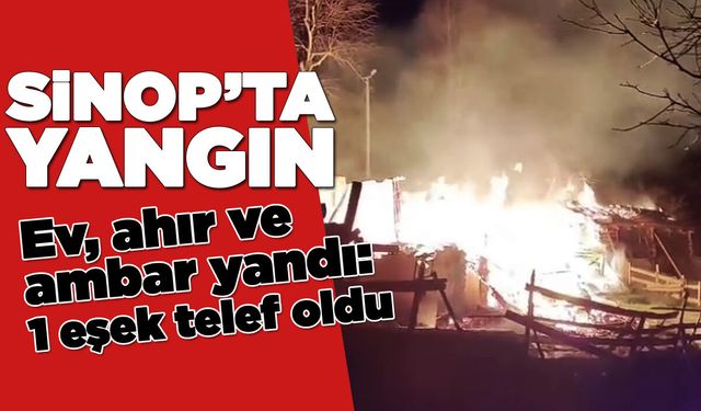Ev, ahır ve ambar alevlere teslim oldu