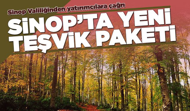 Sinop'ta orman ürünleri yatırımına dev destek