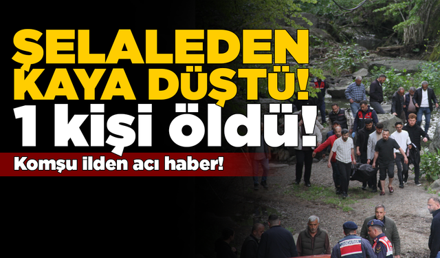 Piknik yapan kardeşlerin üzerine kaya düştü: 1 ölü