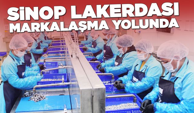 Sinop'ta kadın emeğiyle yükselen değer: Lakerda