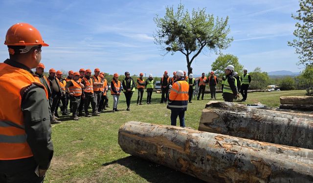 Sinop Orman Bölge Müdürlüğünden sahada uygulamalı eğitim