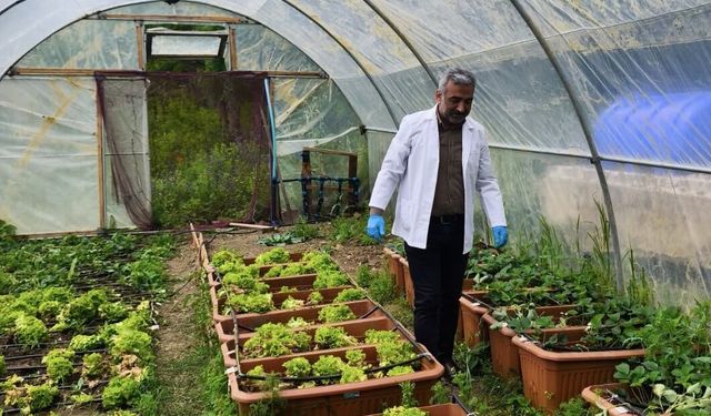 Sahil yosunlarından elde edilen gübreyle çilek yetiştirildi