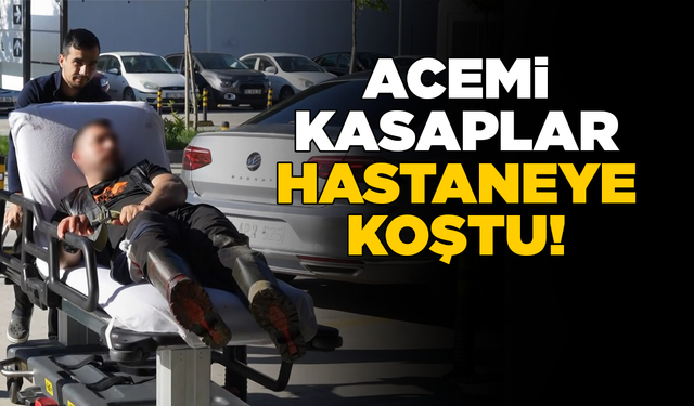 Acemi kasaplar hastanelere koştu