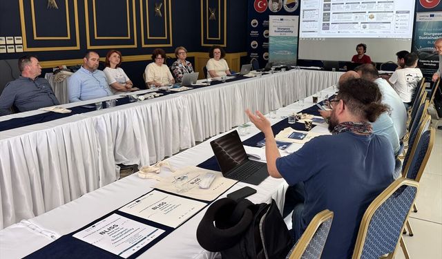 Mersin balığının geleceği için Sinop'ta buluştular