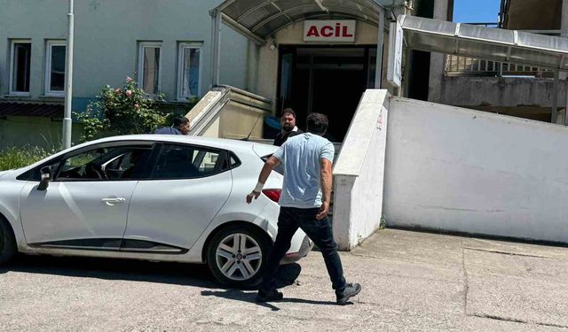 Alaplı'da yaralanan acemi kasaplar hastaneye koştu