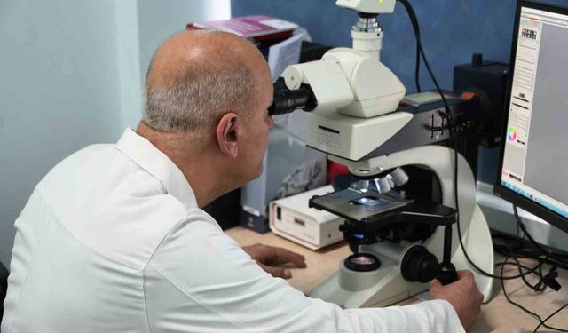 Alzheimer ve benzeri hastalıklara umut ışığı