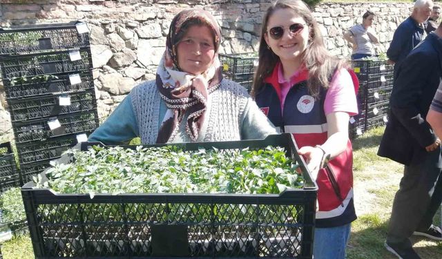 Hanönü'de çiftçilere 30 bin fide hibesi