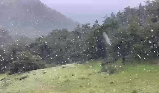 Haziran ayına günler kala kar sürprizi