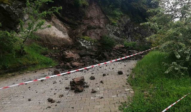 Kaya parçaları yola düştü