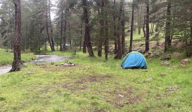 Piknik yaparken yıldırım düştü: 1'i ağır 3 kişi yaralandı
