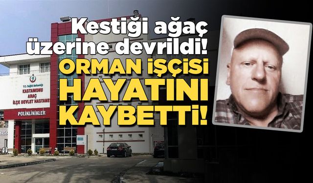 Kestiği ağacın altında kalarak hayatını kaybetti