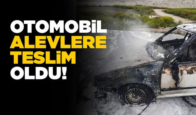 Yanan araç kullanılamaz hale geldi!